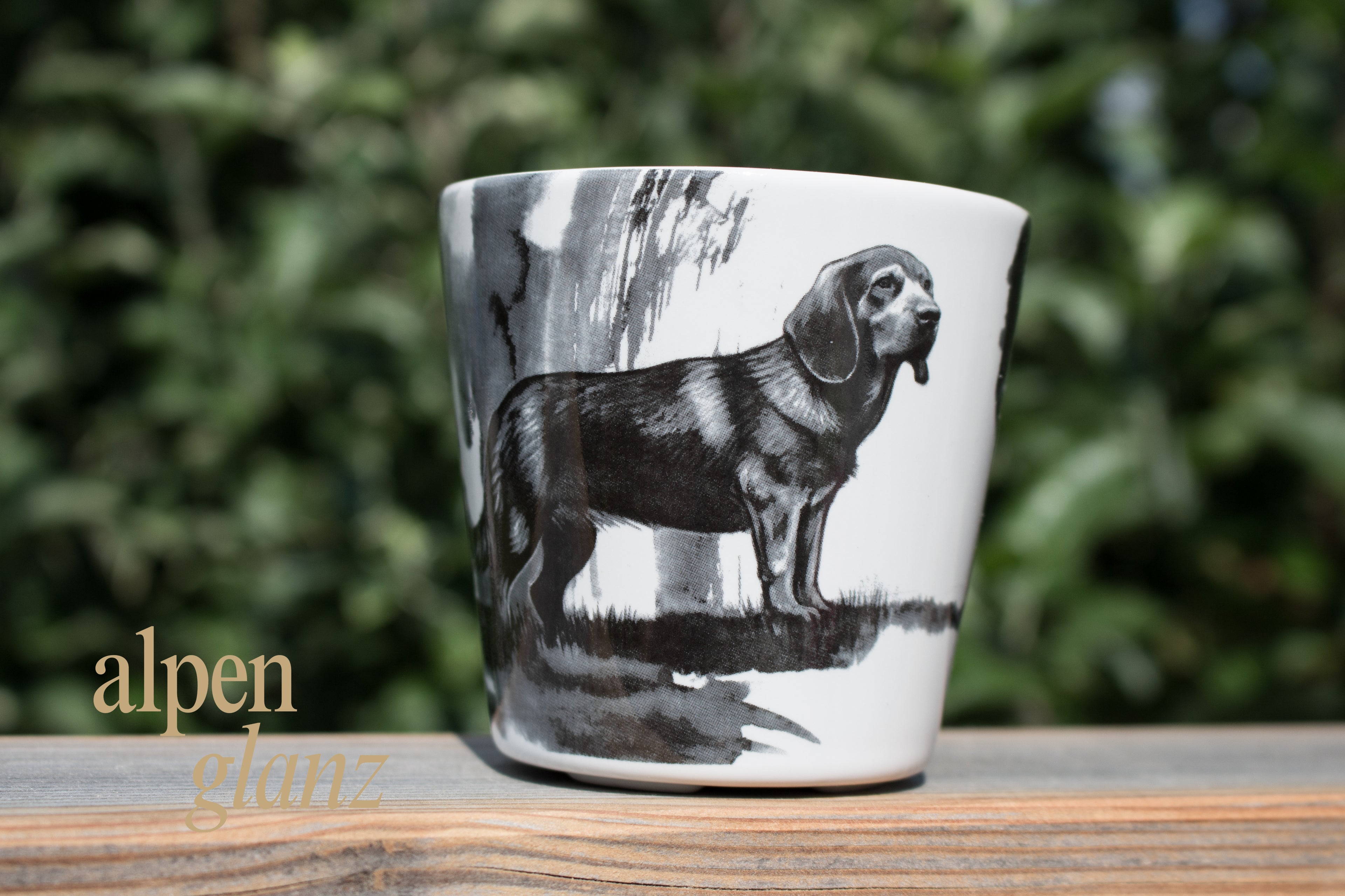 Tassen Jagdhund