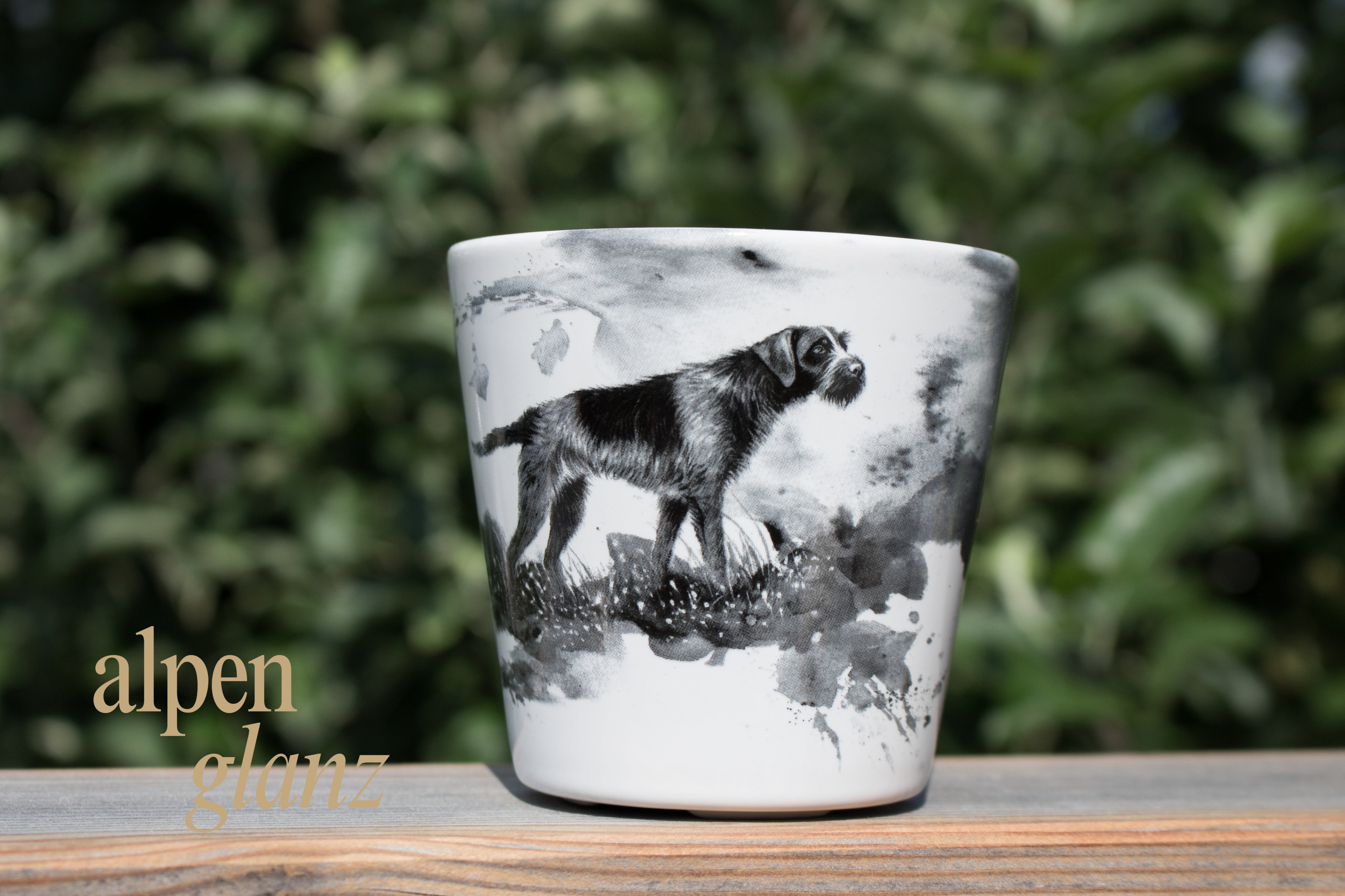 Tassen Jagdhund