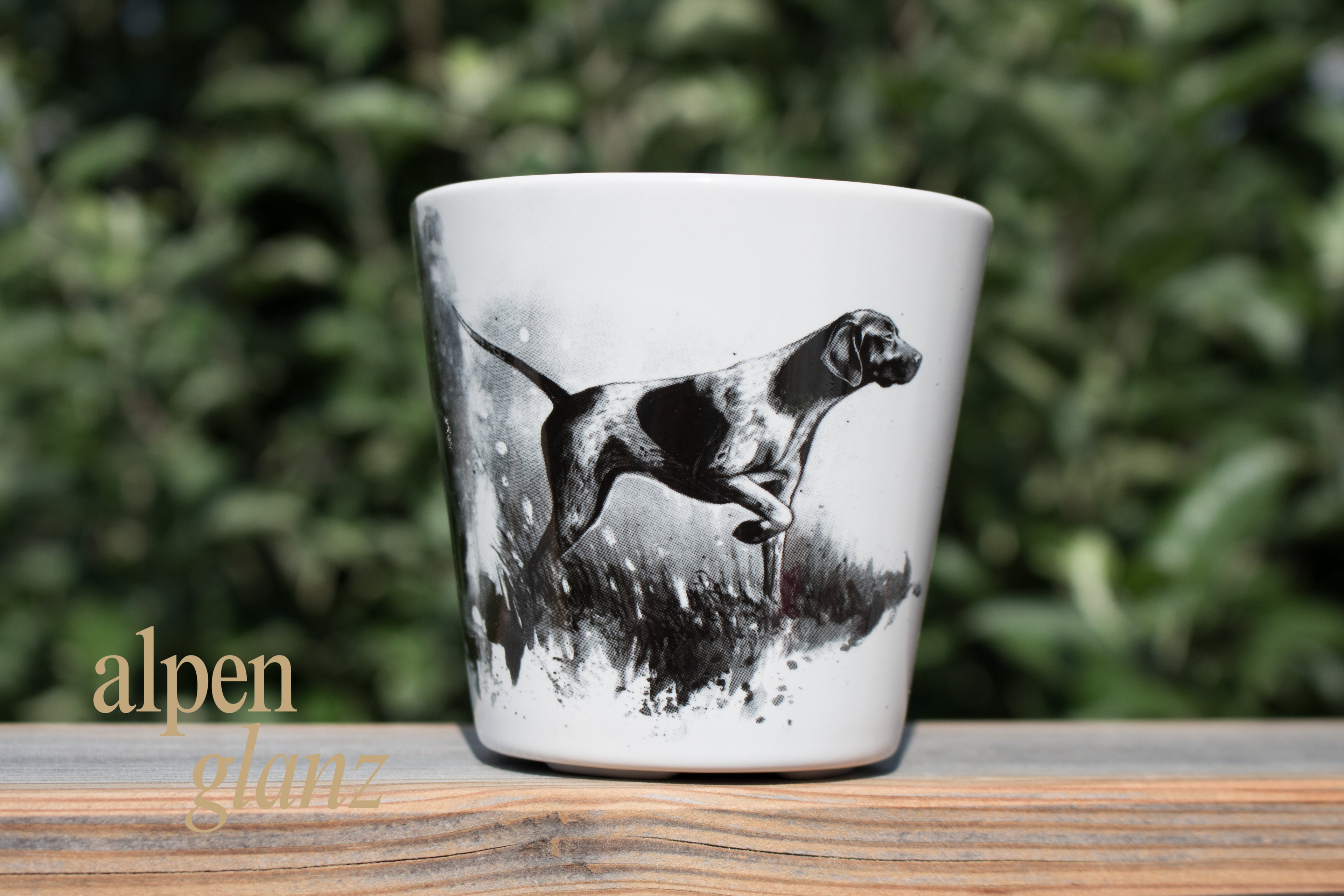 Tassen Jagdhund