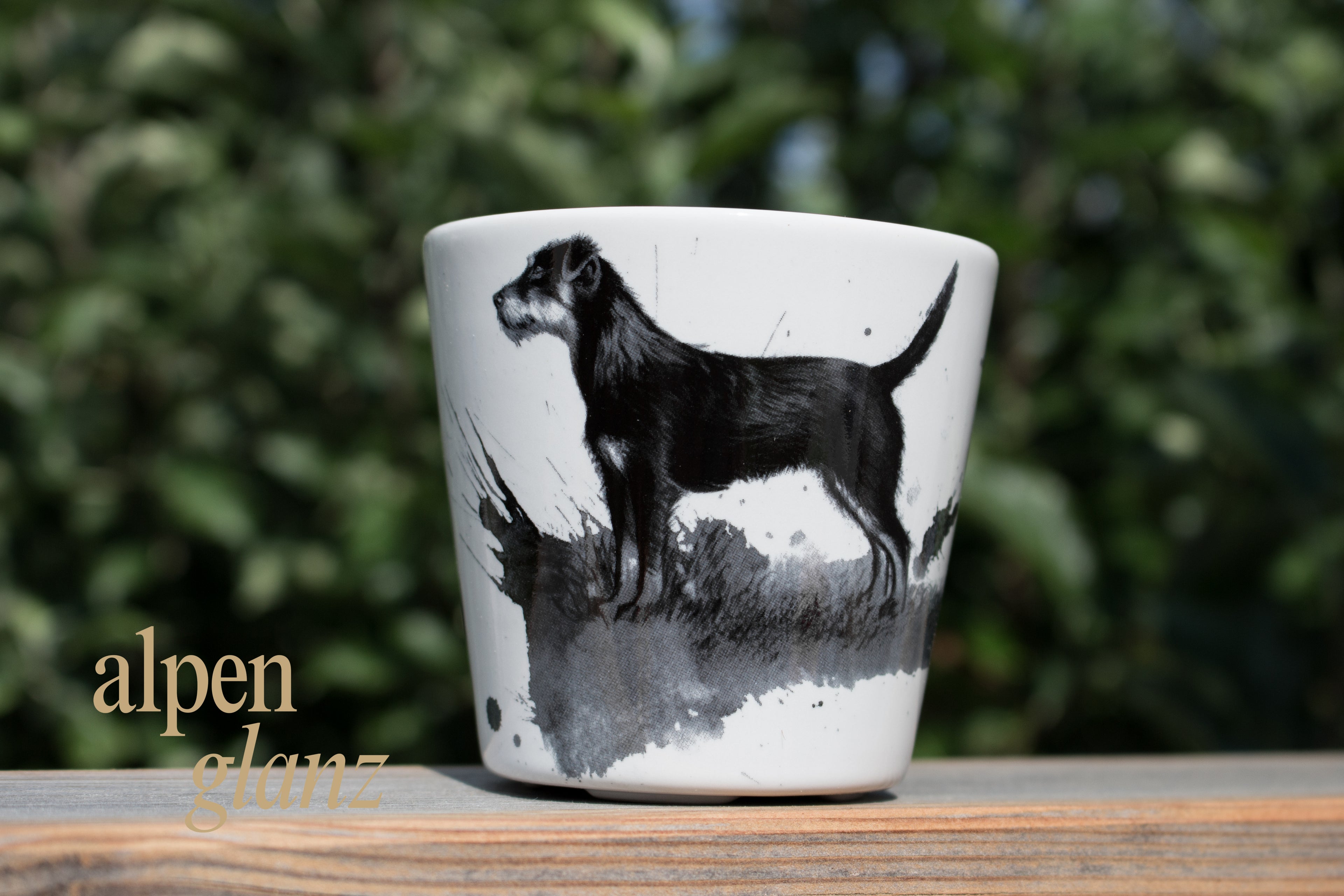 Tassen Jagdhund