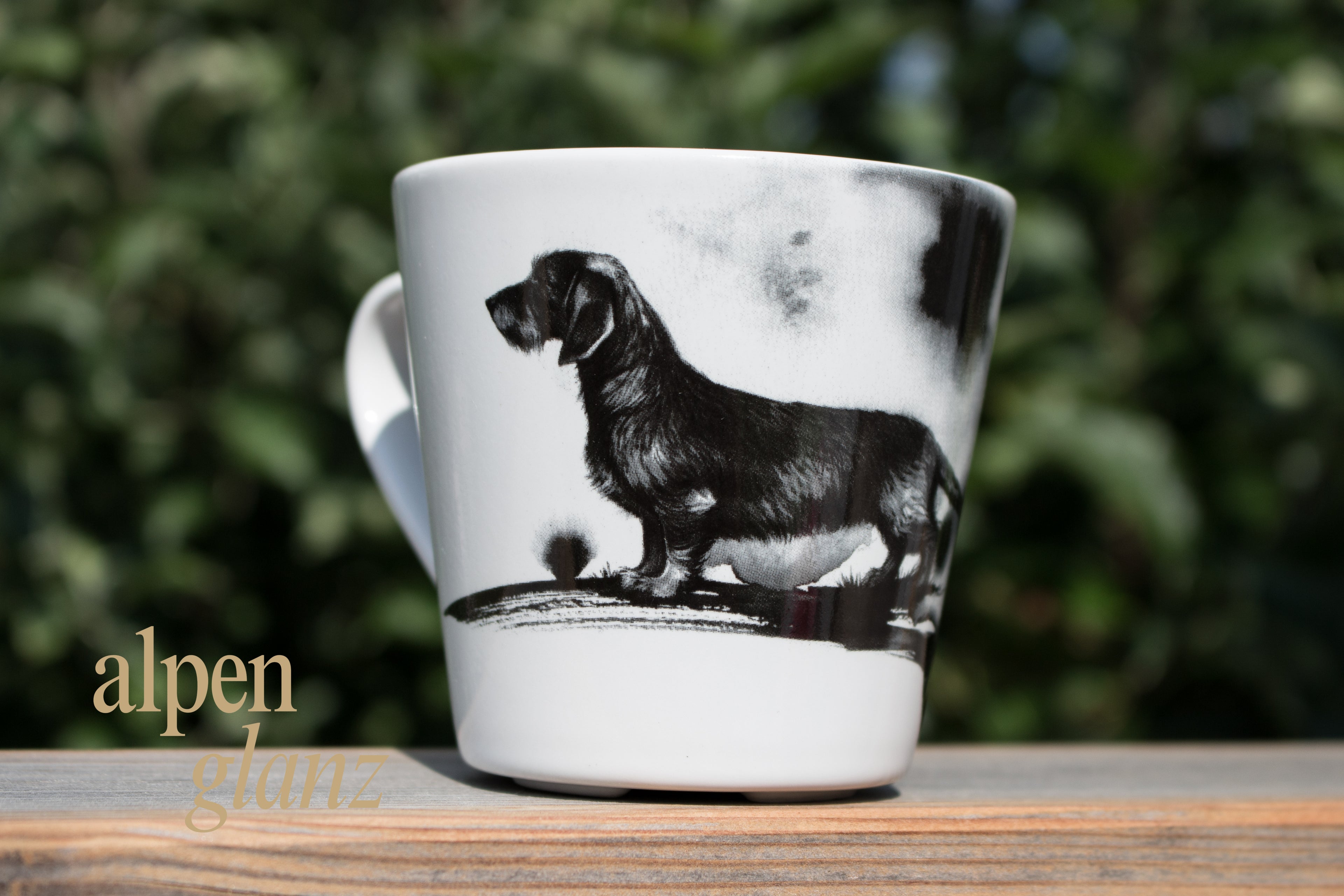 Tassen Jagdhund