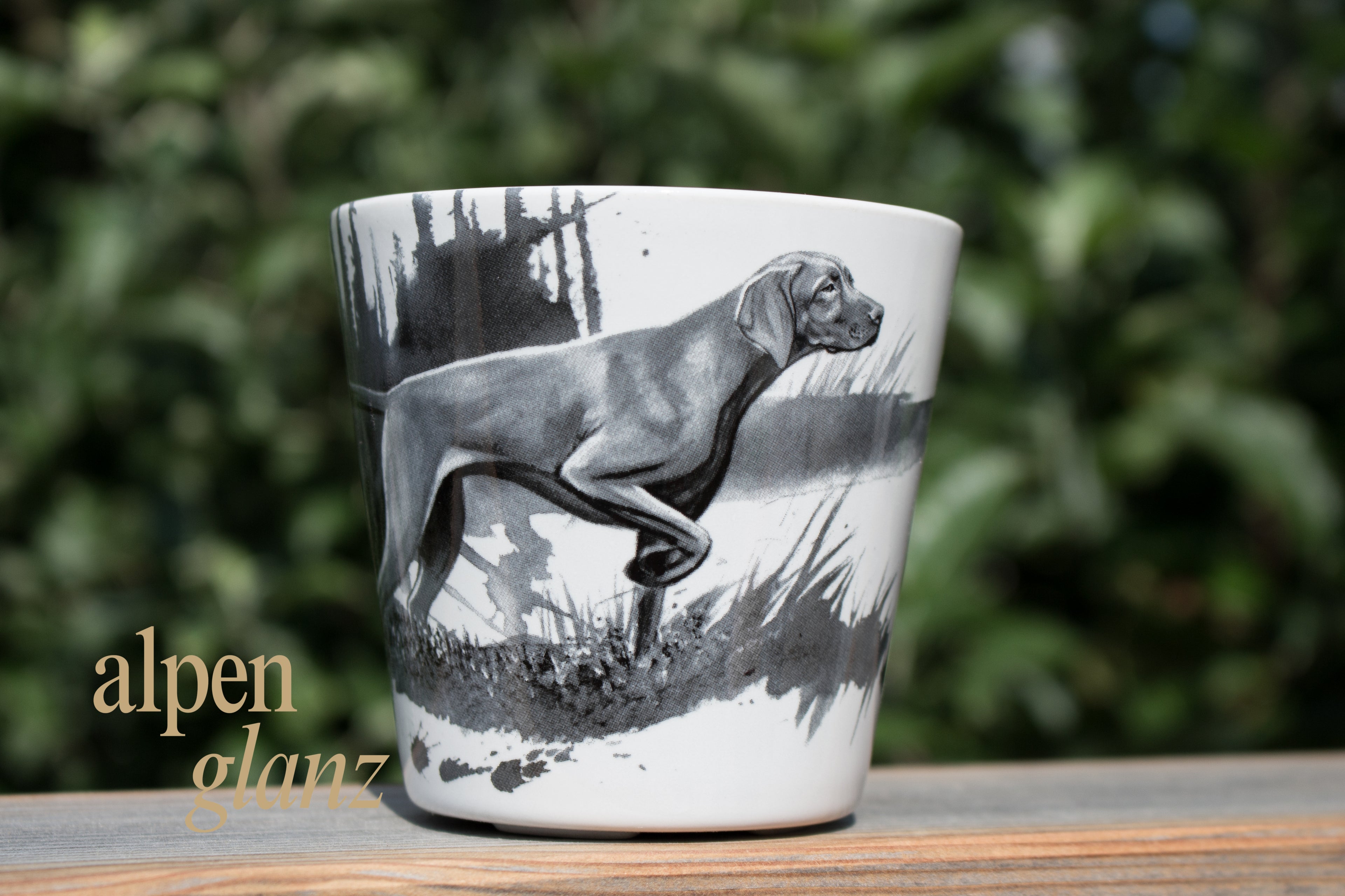 Tassen Jagdhund