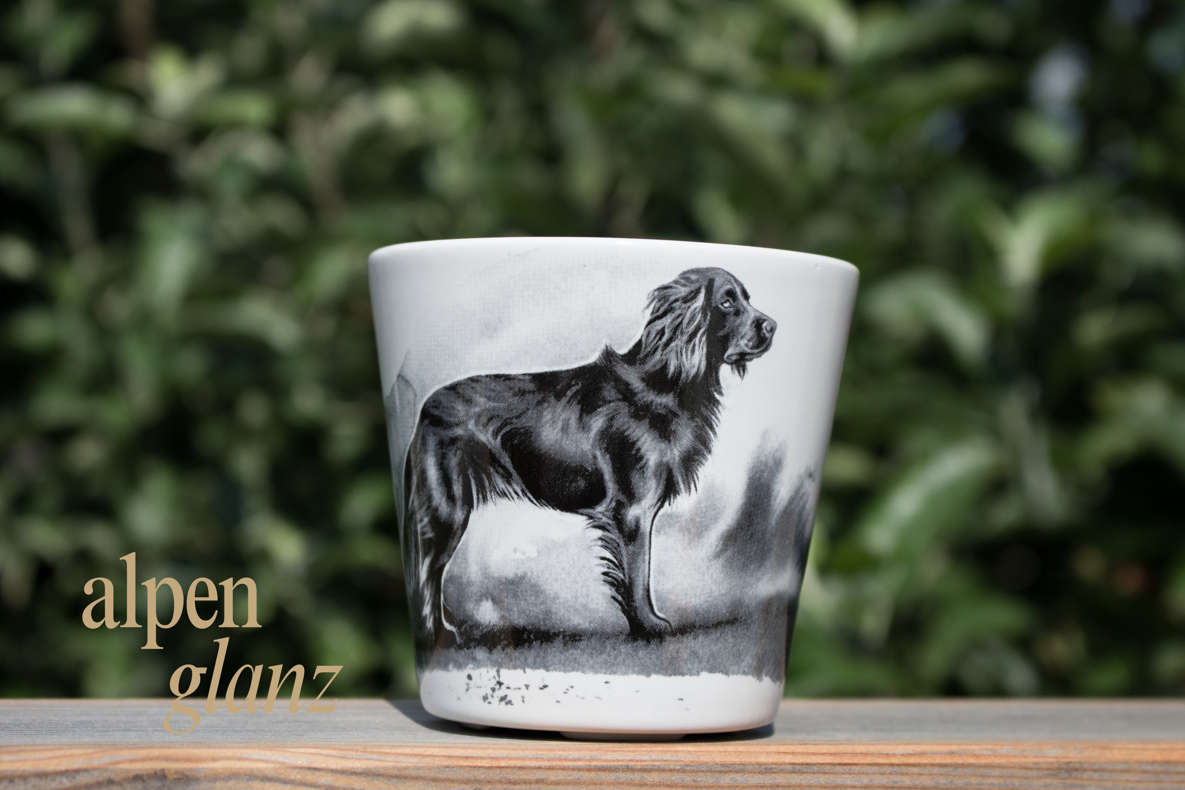 Tassen Jagdhund
