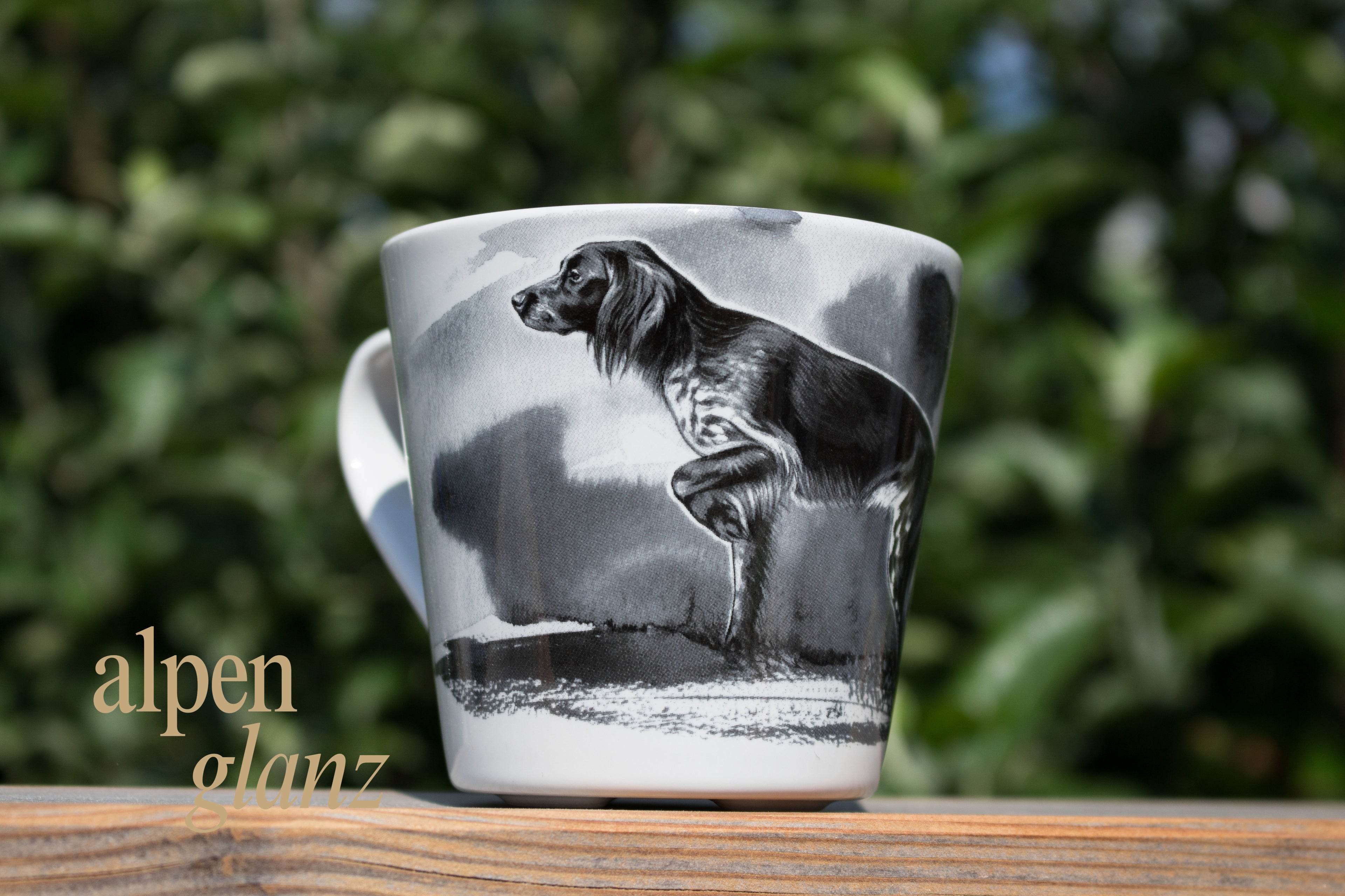 Tassen Jagdhund