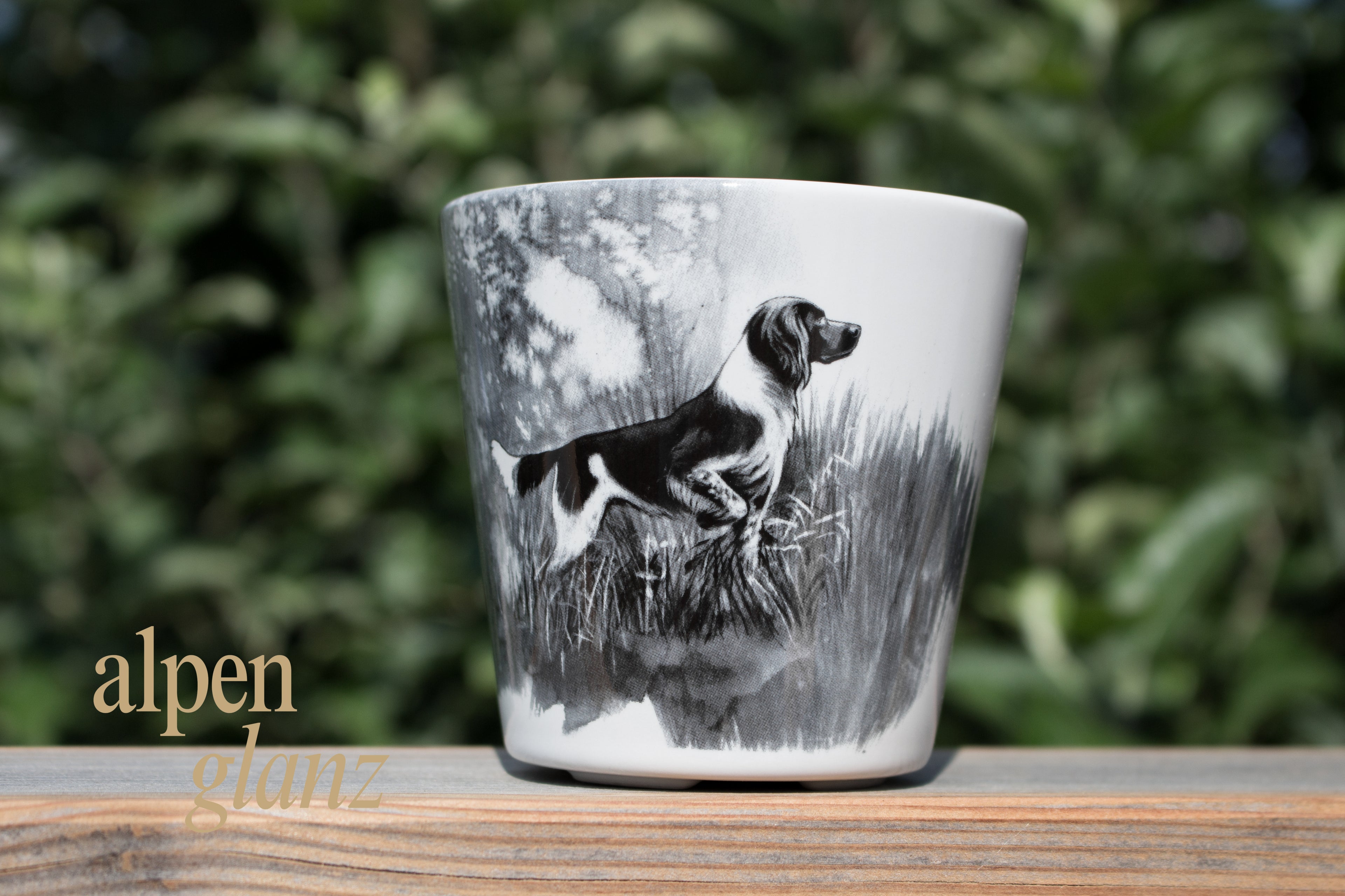 Tassen Jagdhund